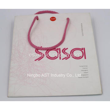 S-8103 Bolsa promocional, bolsa de papel de música, regalo de promoción, bolsa de papel